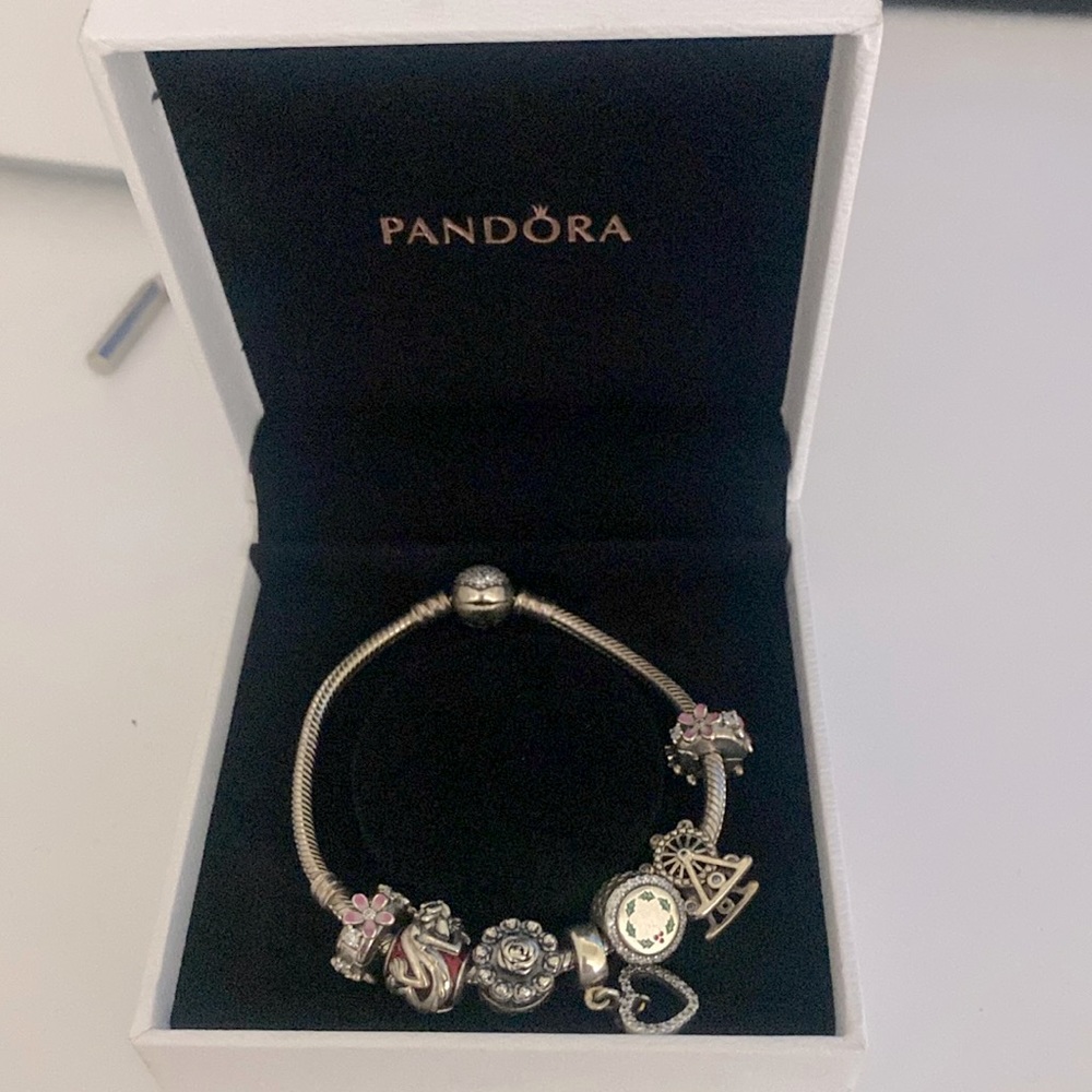 Pandora bracelet with charms